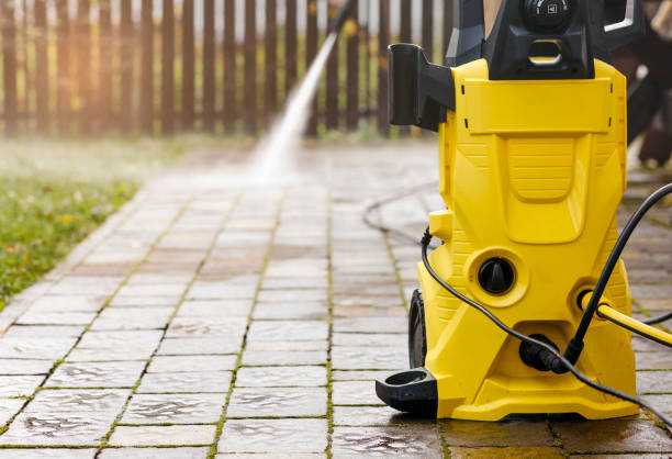 Animal Enclosure Cleaning in Woodsboro, MD